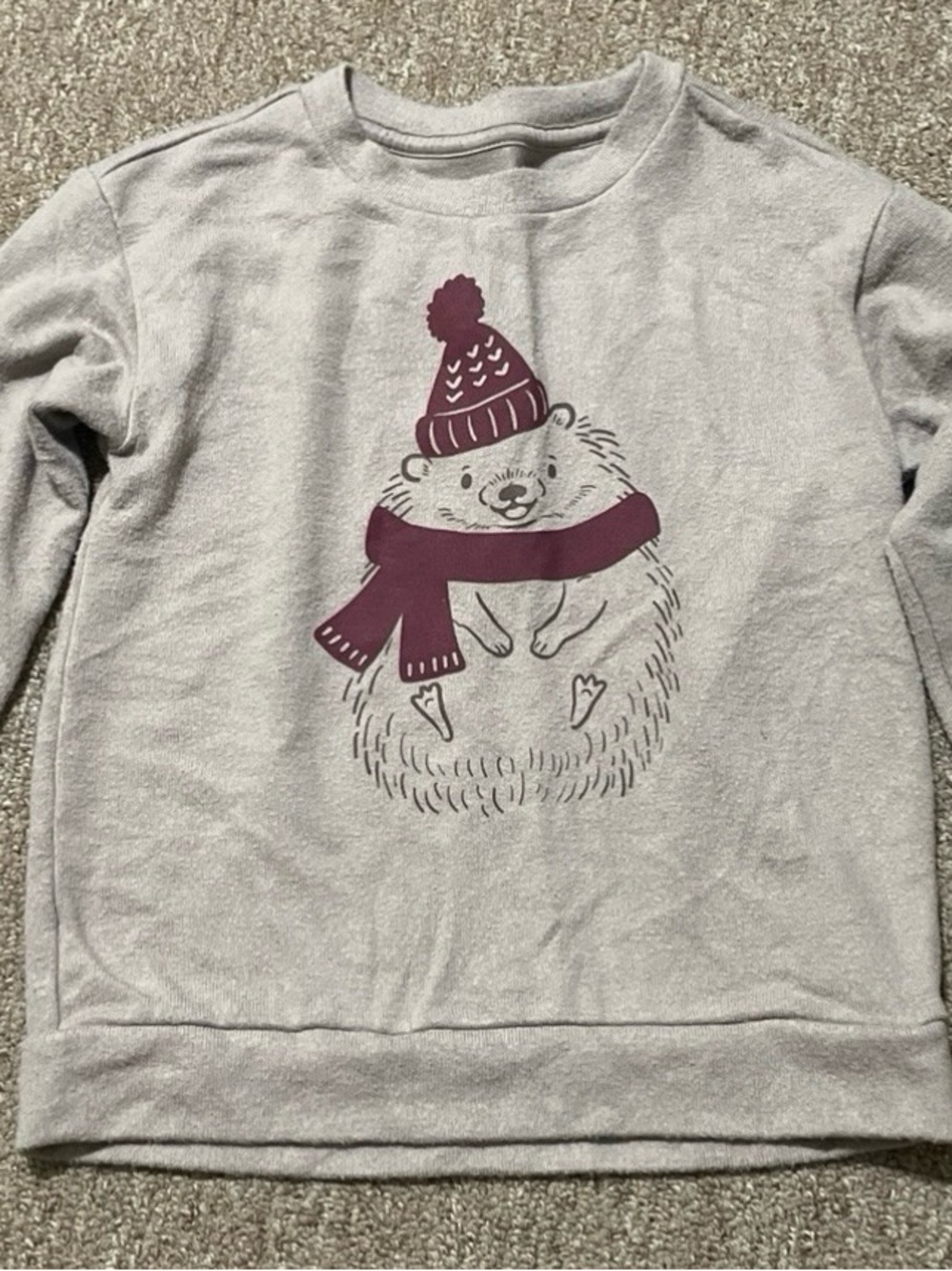 Wonder Nation Boys 5T Gray Long Sleeve Sweatshirt With Hedgehog Graphic